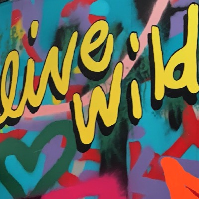 playdium live wild graffiti graphic